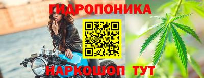 сатива Лесосибирск