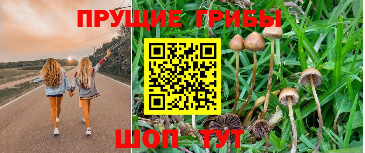 Якутск  Псилоцибиновые грибы Psilocybe  Галлюциногенные грибы прущие грибы  Вход с VPN 